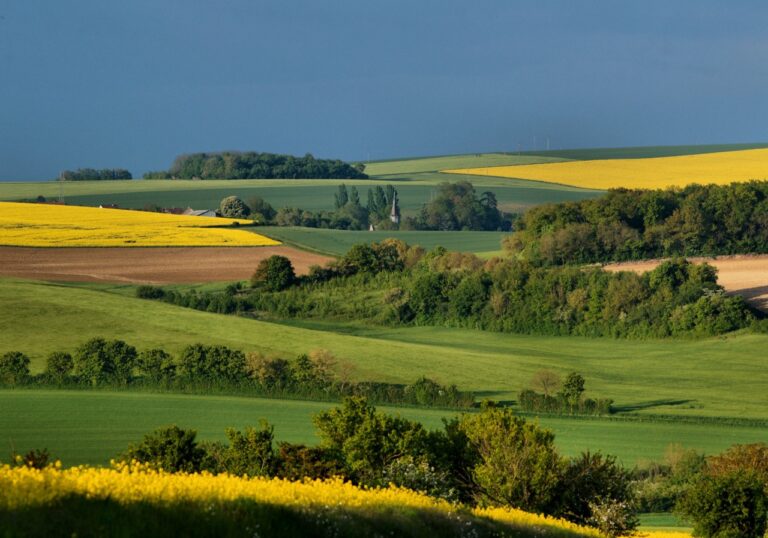 La Puisaye, un Joyau Méconnu de la Bourgogne