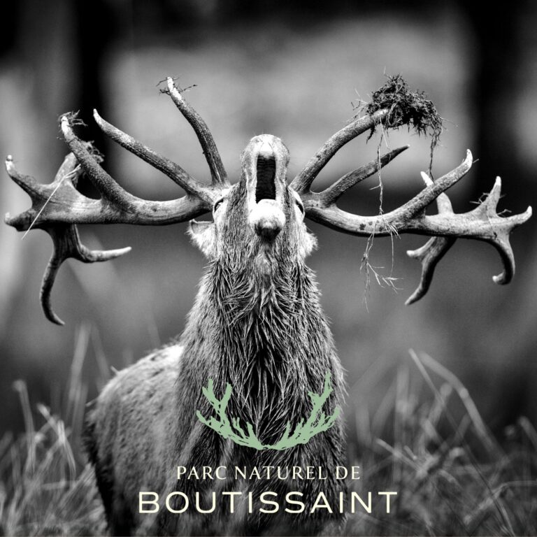 Parc naturel de Boutissaint